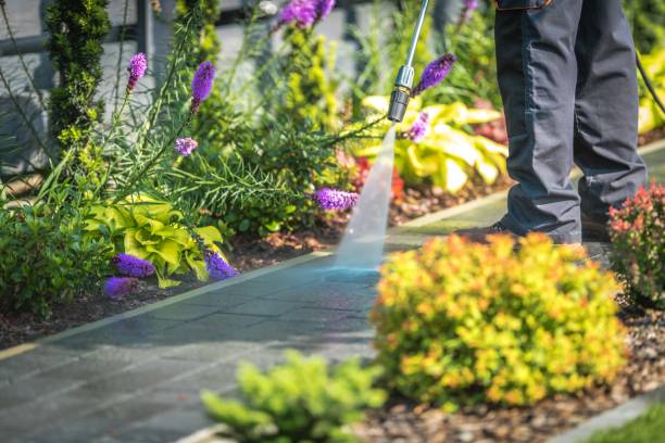 Trusted Rexland Acres, CA Pressure Washing Services Experts