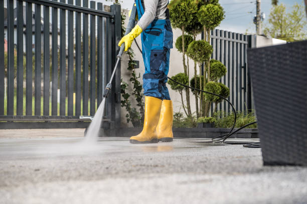 Best Sidewalk and Walkway Cleaning  in Rexland Acres, CA